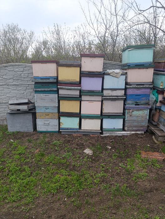 Продам улики дадан в хорошем состоянии