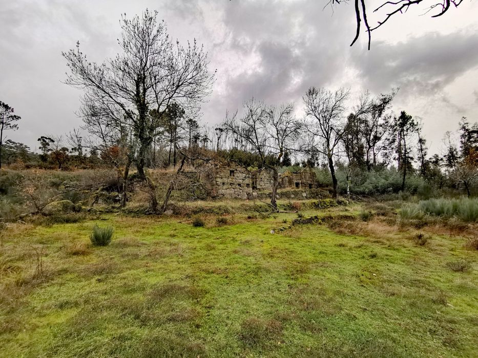 Quinta para turismo ,refúgio / oportunidade única! Esta semana
