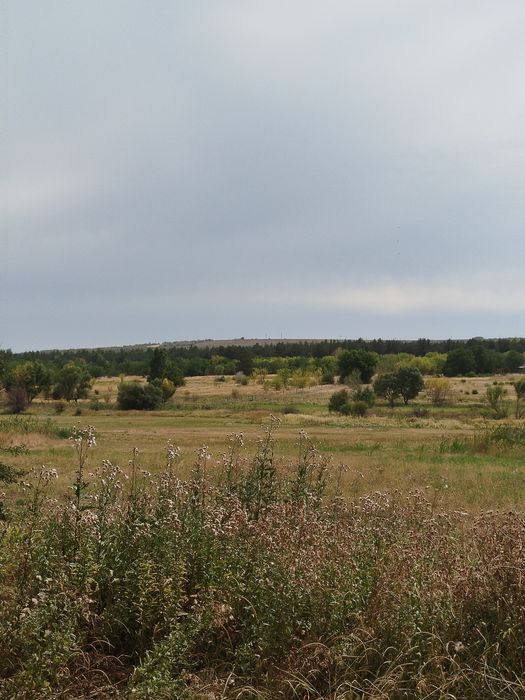 Продам будинок в затишному тихому селi