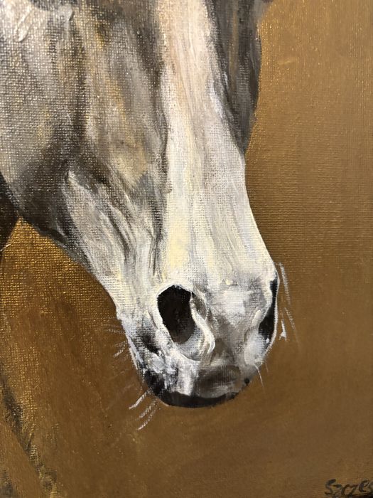 Koń obraz malartwo jezdziectwo pasja portret sztuka