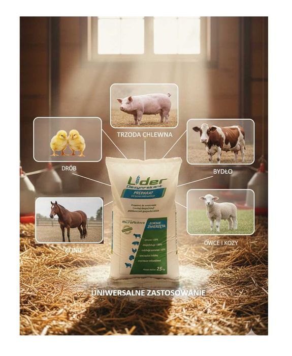 Preparat na ograniczenie piórojada w gołębniku, Dezynfekant Lider 8kg