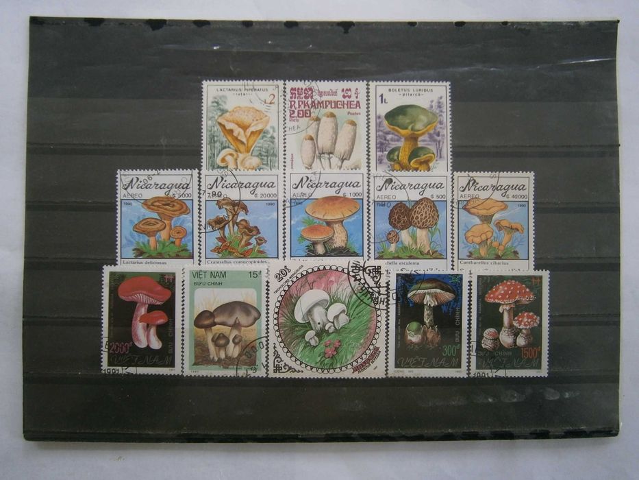 38 selos do tema Cogumelos todos diferentes