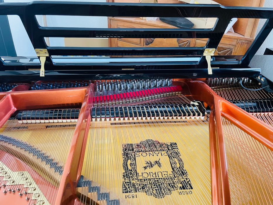 Piano de cauda Feurich Dynamic II