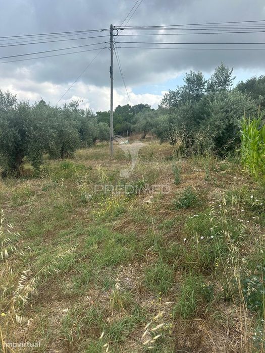 Rustic Land