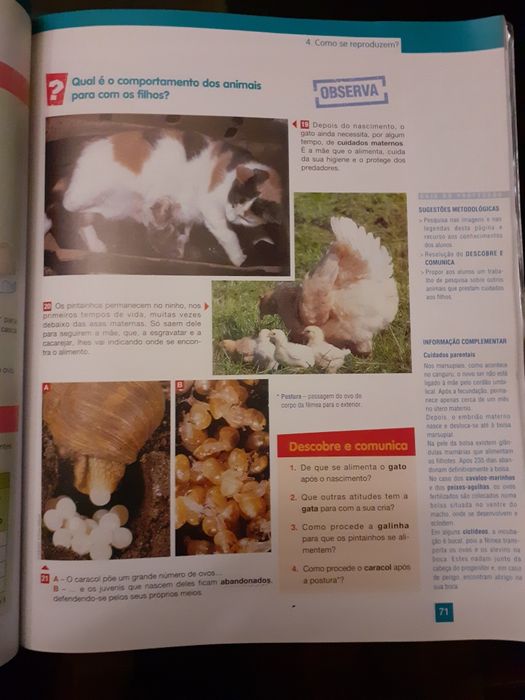 Manual Páginas da Terra Ciências da Natureza 5.º ano