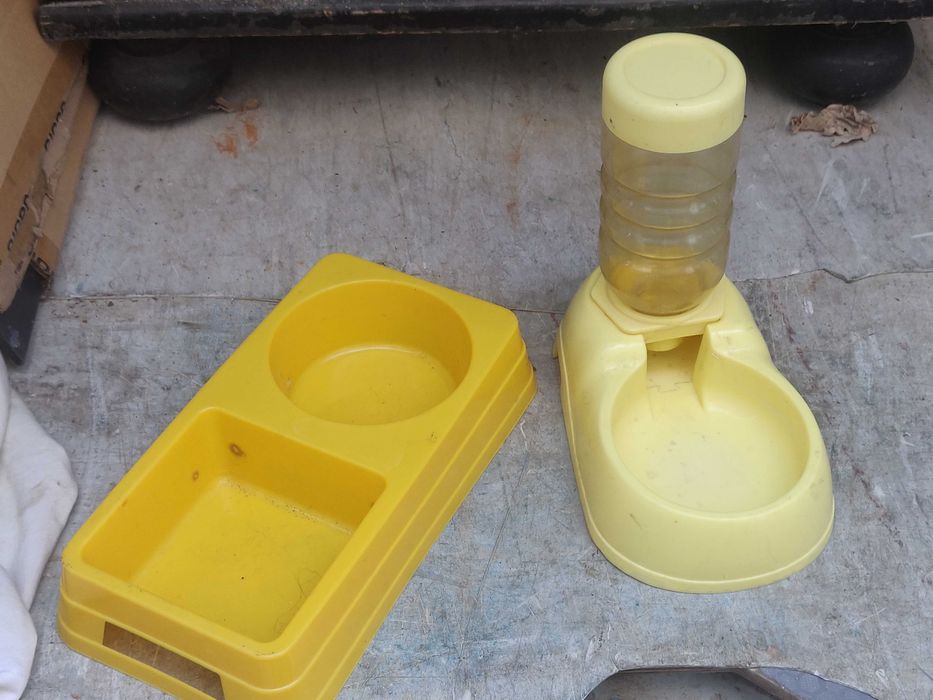 bebedouro e comedouro para animal