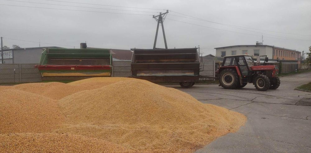 Pelet zboże opałowe