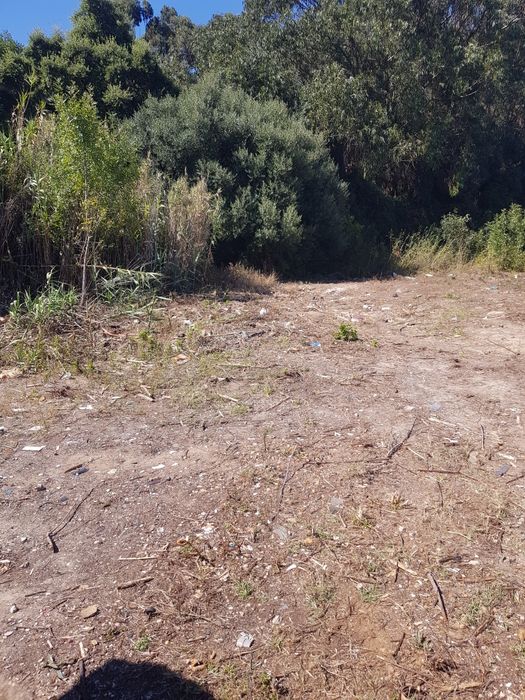 Limpezas de casas e terrenos