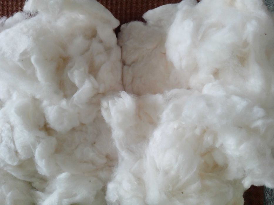 Fibra de algodão orgânico cru