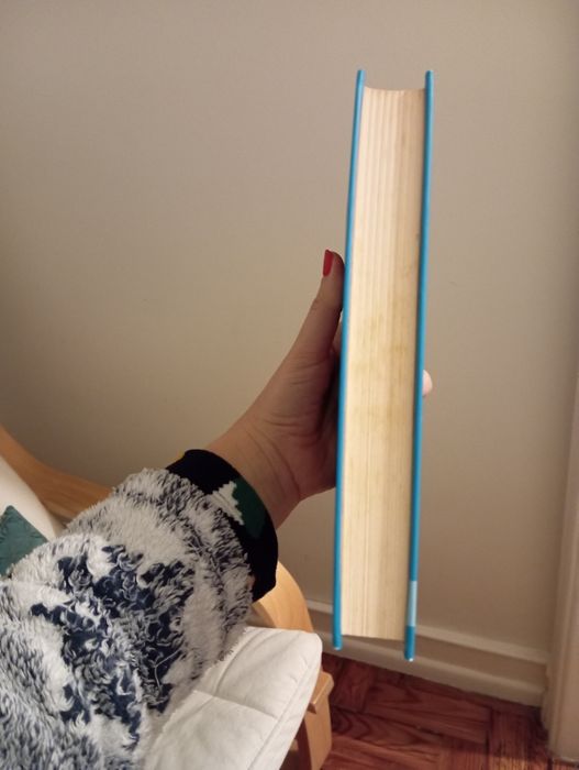 Livro de David Walliams "Rato picado"