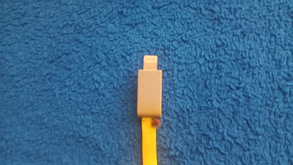 Kabel lightning do telefonów iphone marki flying tiger