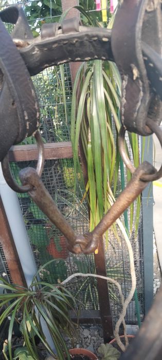 Uzda z prawdziwej skóry, zaprzęg, bryczka