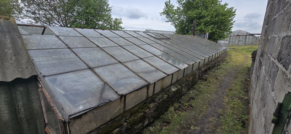 Cieplarnia 5x12m