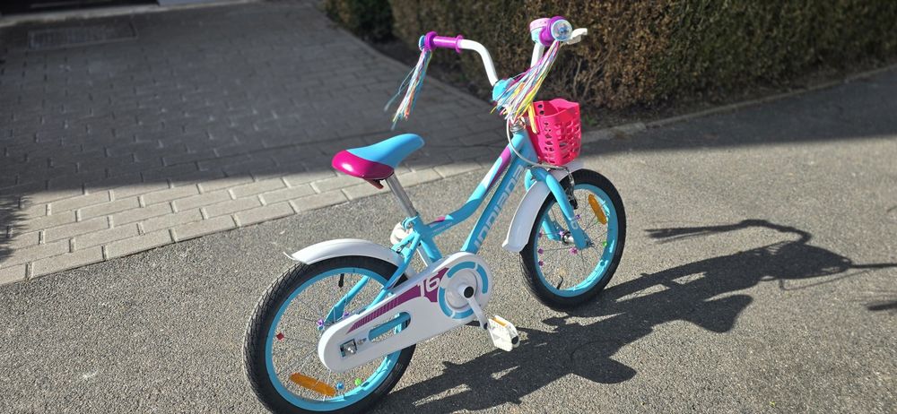 Rower dziecięcy Indiana róż. 16