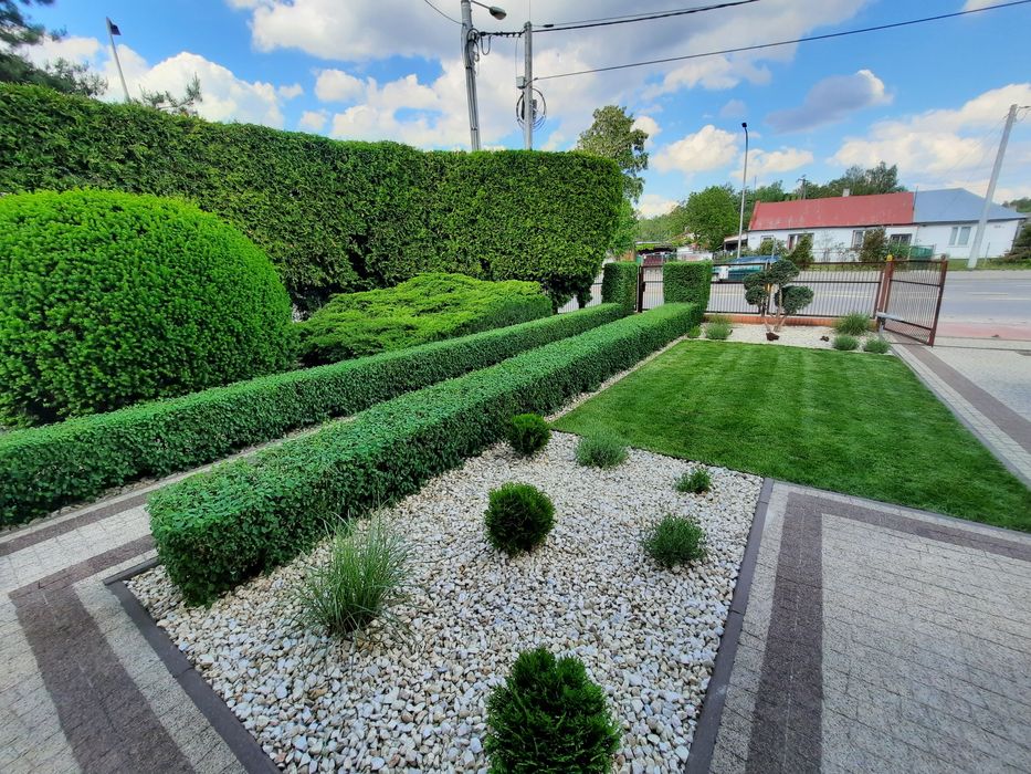 Usługi ogrodnicze Pielęgnacja ogrodu