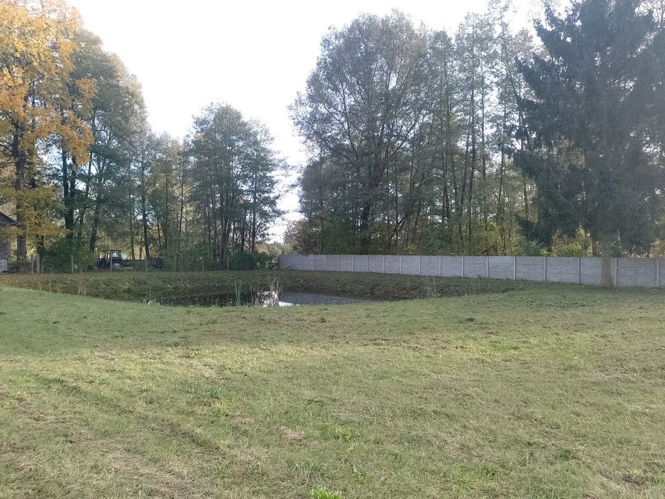 Dom, działka, hala na sprzedaż