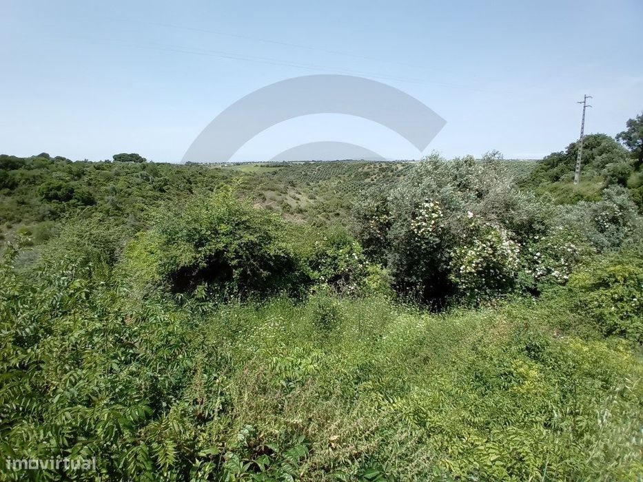 Terreno - Água Peneira, Santarém