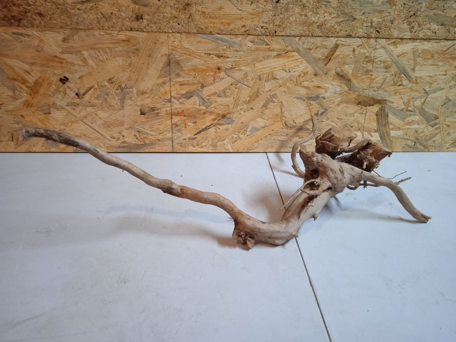 Korzeń do akwarium Red Moore Wood nr 63 o wymiarach 54/24/22