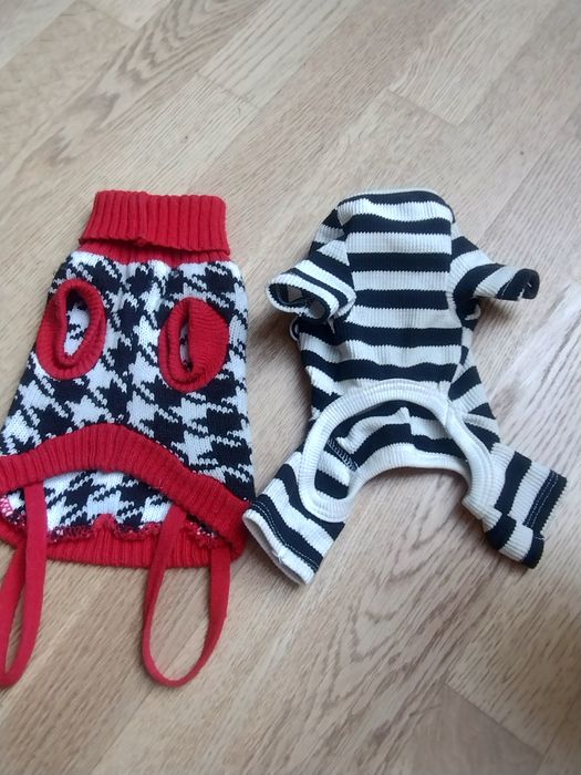 2 ubranka maltańczyk york XS