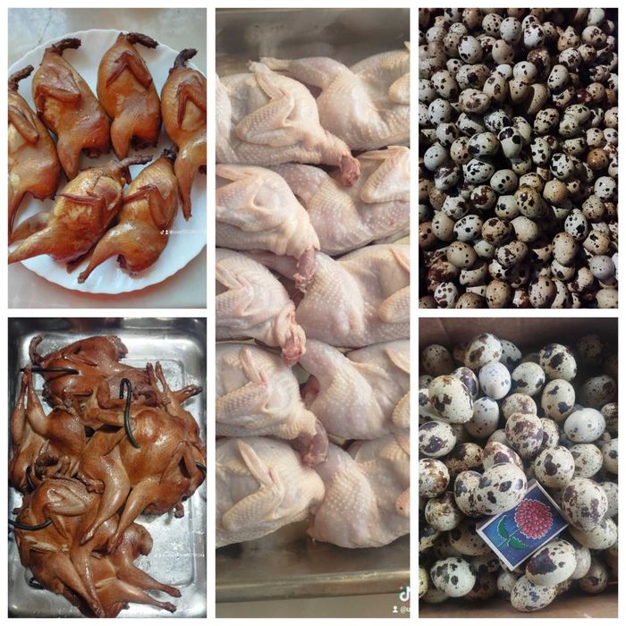 Яйцо перепелиное столовое. Мясо перепела.