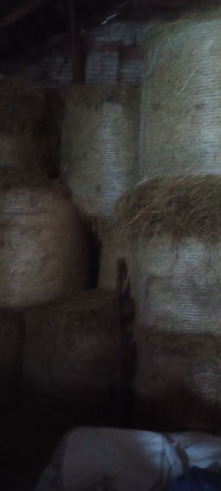 Siano w belach z stodoły