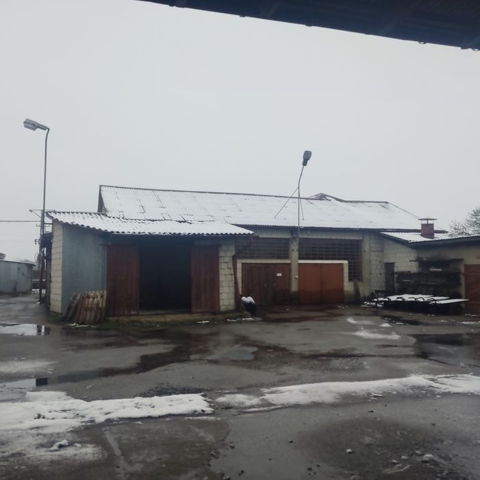 Wynajmę halę produkcyjną i inne