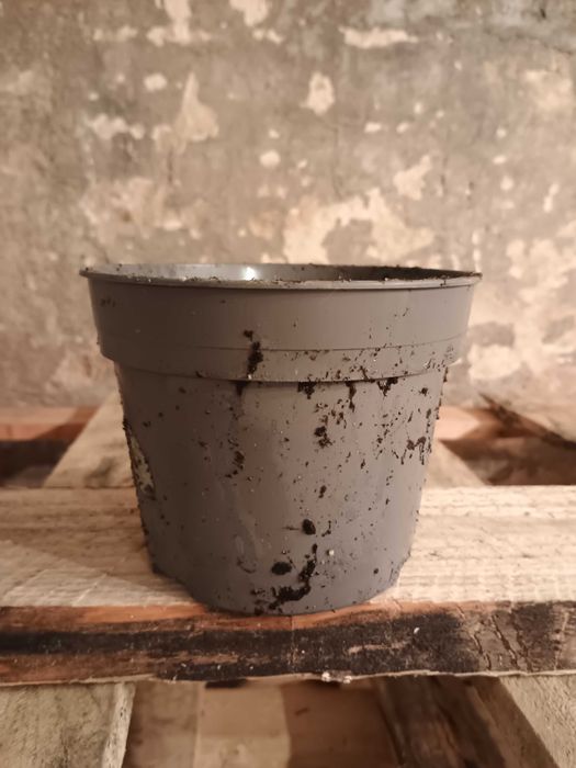 Wiadro ogrodowe plastikowe doniczki mix 14 sztuk