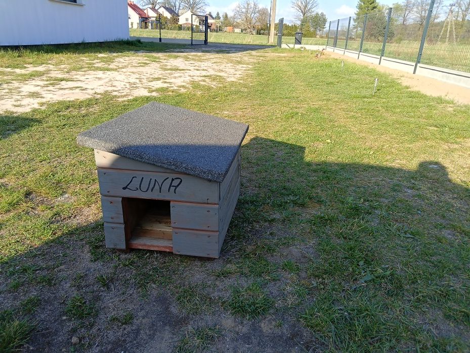 Buda dla psa lub kota