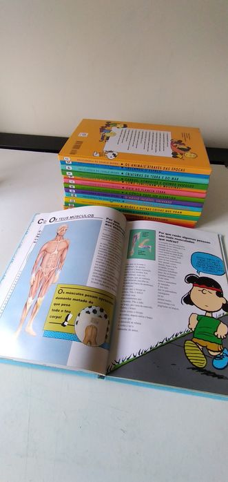 Coleção de livros - enciclopédia do Charlie Brown completa