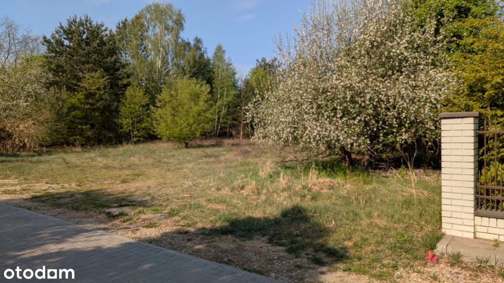 Działka budowlana 1800 m² w otulinie Puszczy Kampinoskiej – Wiktorów - Widok 5