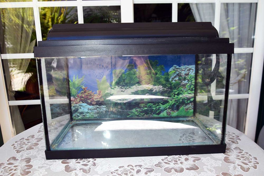 Aquário com lâmpada 42cm