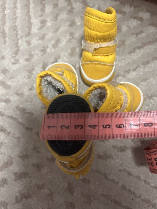 Чобітки для маленького песика