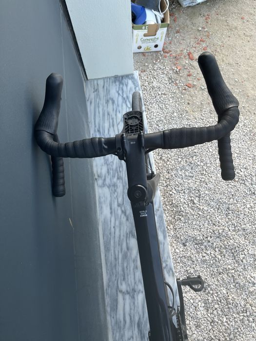 WRC BOLD carbono