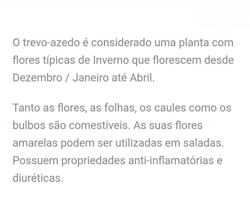 Mudas de Trevo Azedo