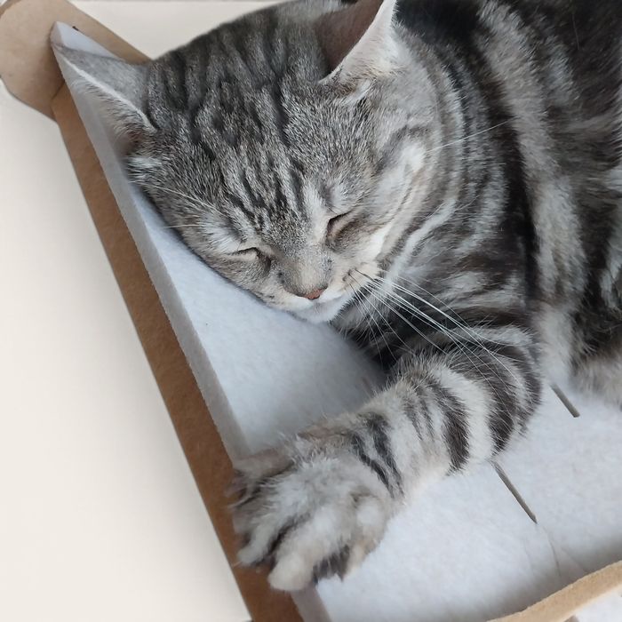Лежак гойдалка для котів