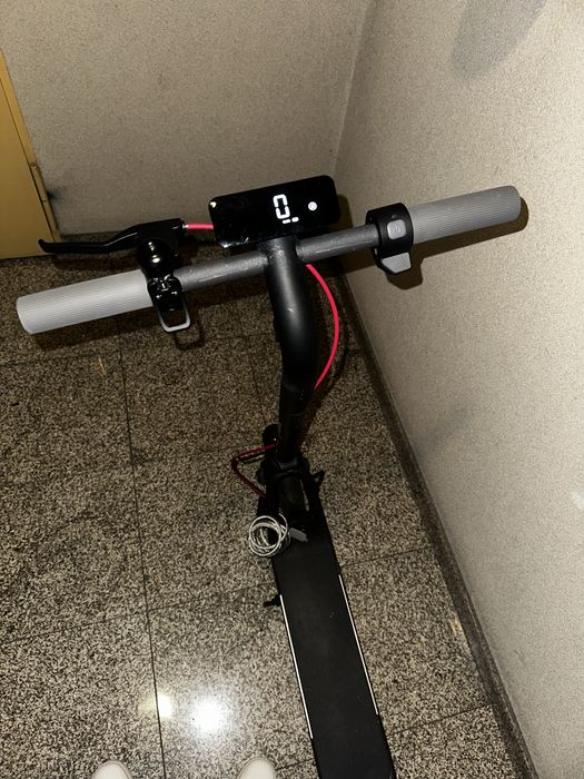 Trotinete Com Garantia