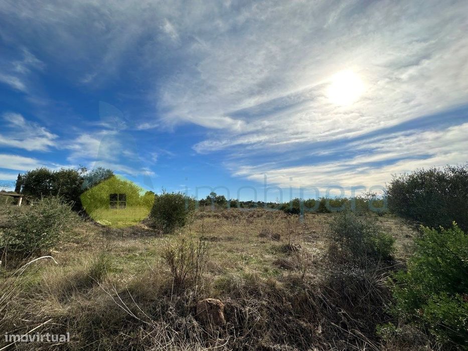 Terreno agrícola para investimento em Algoz