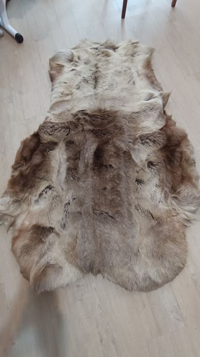 шкіра північного оленя