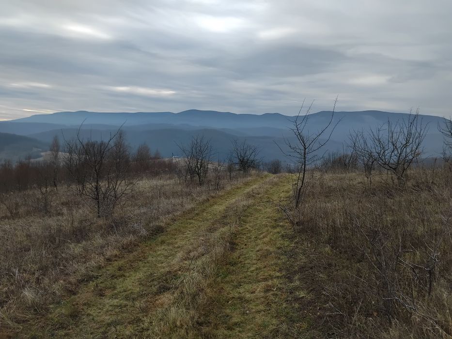 Продаю земельну ділянку  на березі річки  Латорица  у Свалява