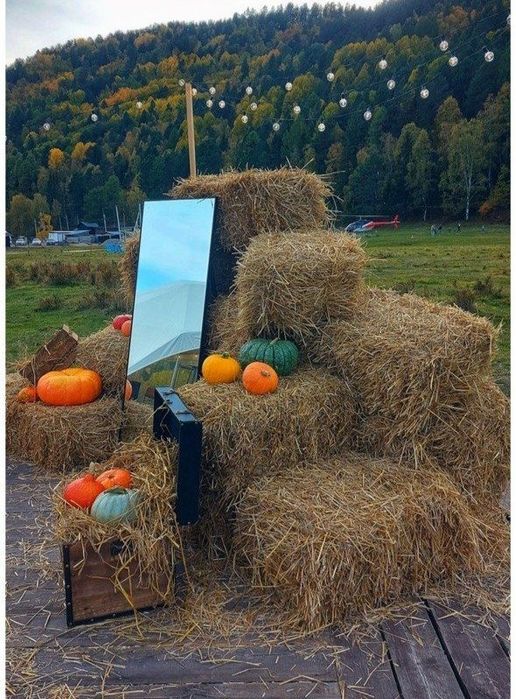Солома пшенична, ячнева в тюках