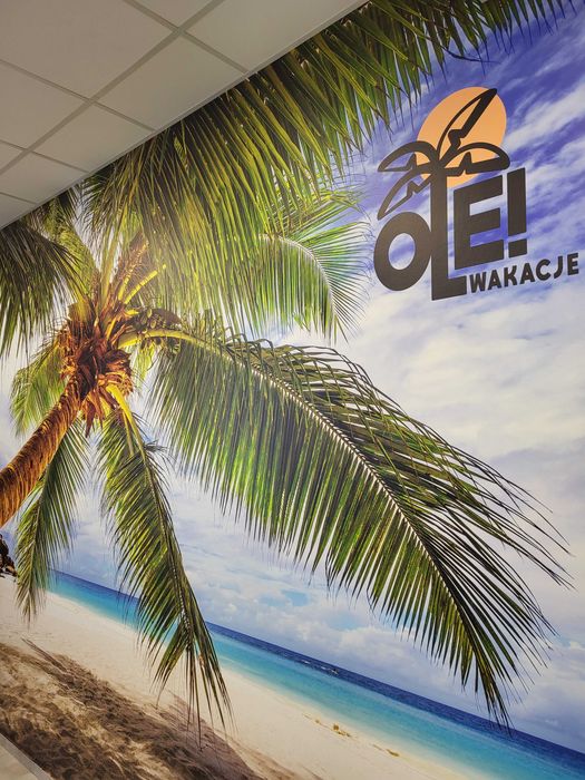 Tapetowanie Blumal              Profesjonalny Montaż Tapet | Fototapet