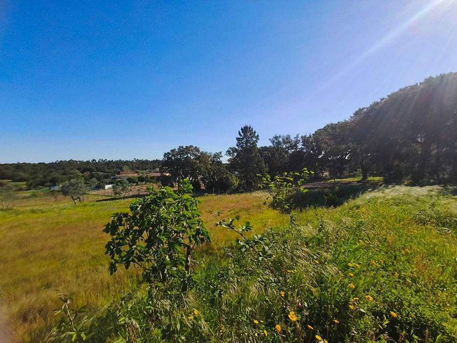 Terreno com Armazém Canha