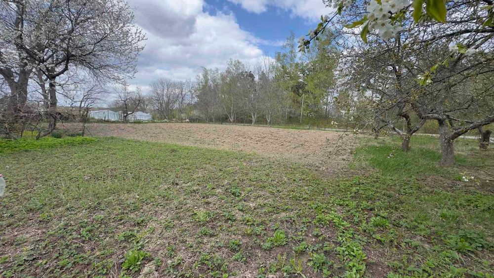 (5) Продам будинок в с.Ковалівка 1122