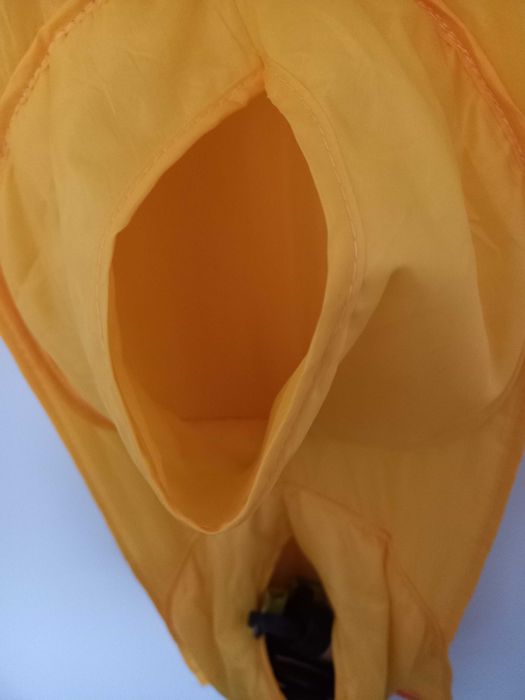 Leãozinho para arrumação