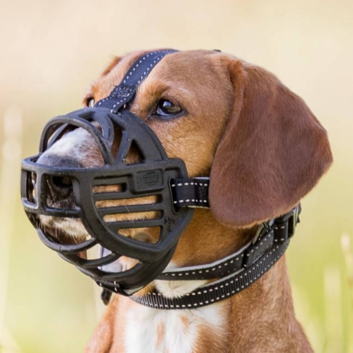 Новий силіконовий намордник Trixie Muzzle Flex (М)