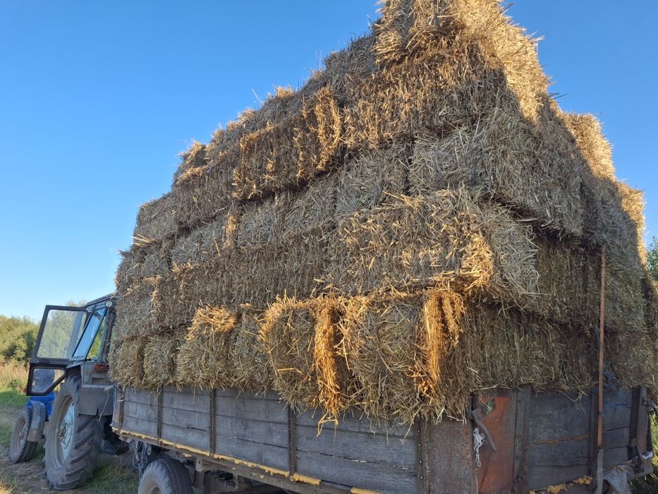 Продам Тюки Солома