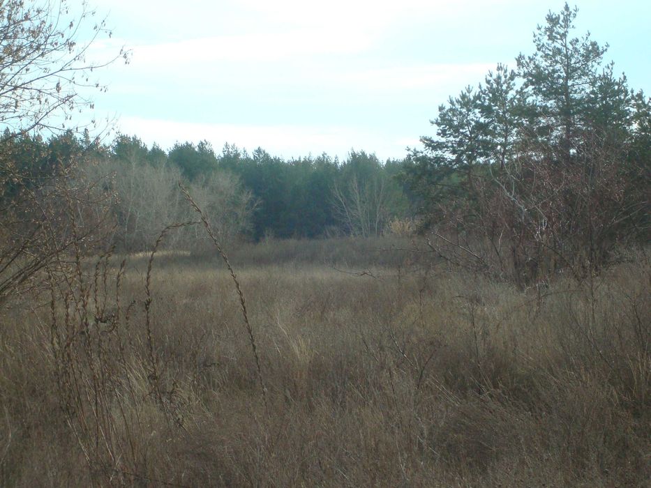 Ціну змінено!!! Продам земельну ділянку під будівництво в с. Чорнявка