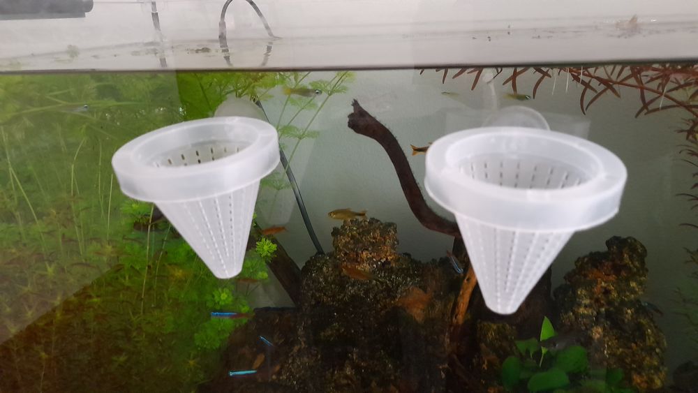 Alimentador para peixes