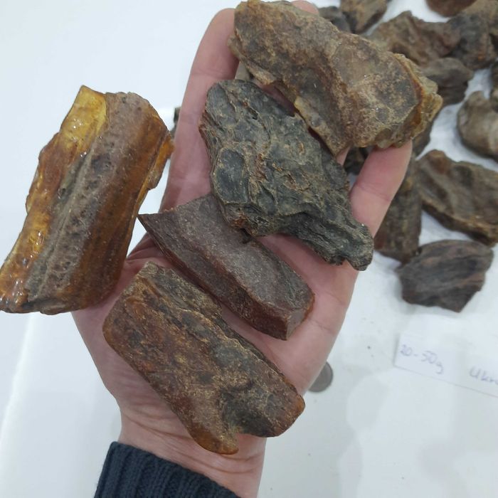Bursztyn  Ukraiński 20-50g sklejka