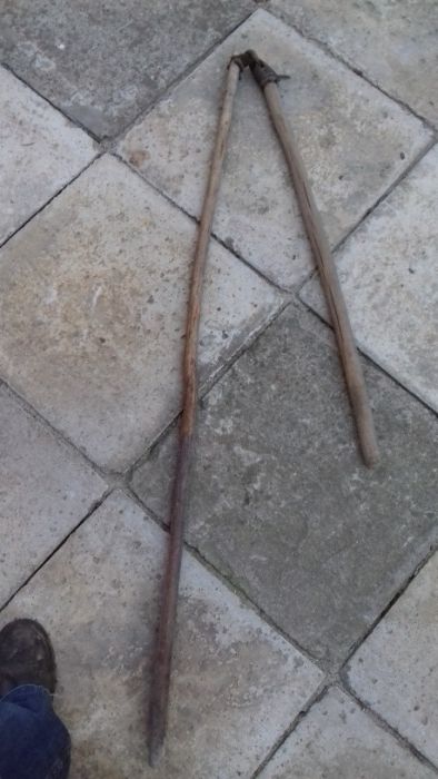 Cep zabytkowy, antyk